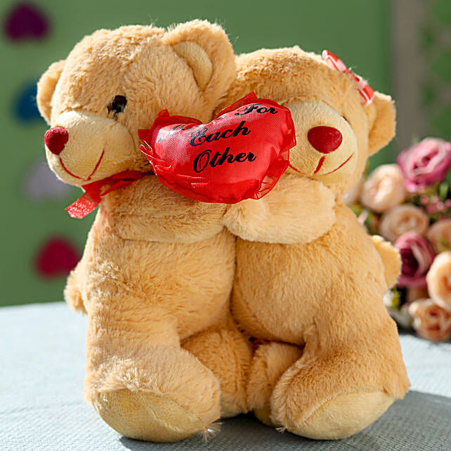 Buy/Send Special Hugging Teddy Online- FNP