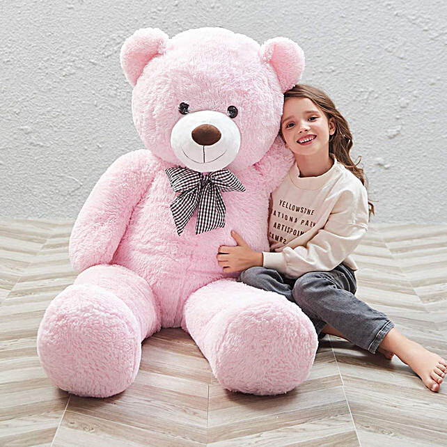 Buy/Send Ft Huggable Teddy Bear Pink Online- FNP