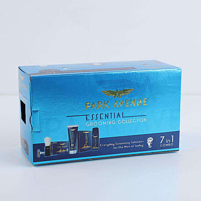 Park Avenue Premium Grooming Kit