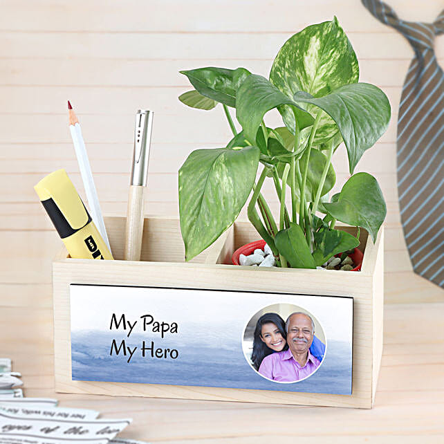 Money Plant Love For Super Dad