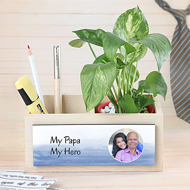 Money Plant Love For Super Dad