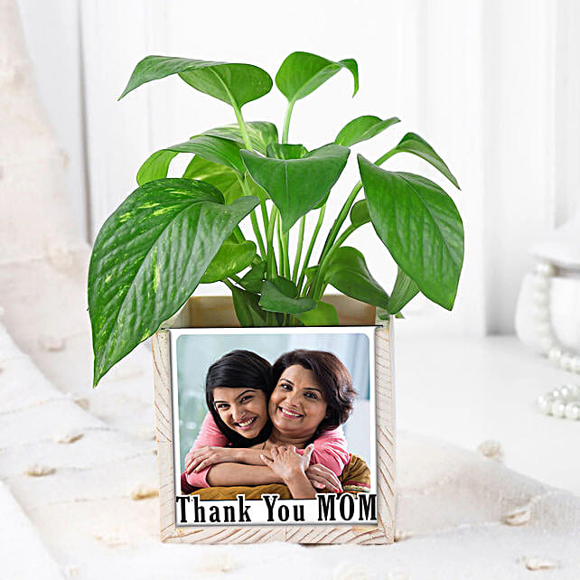 Moms Green Desk Companion