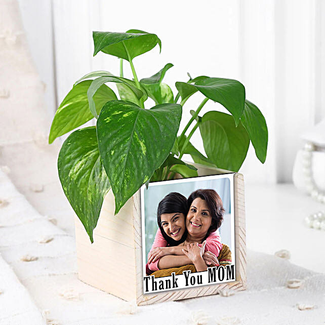 Moms Green Desk Companion