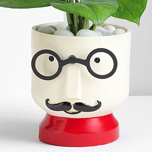 Green Gift in Cute Resin Pot for Dad