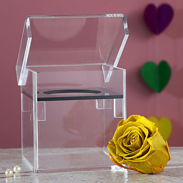 Olive Green Forever Rose In Acrylic Box south-africa | Gift Olive Green ...